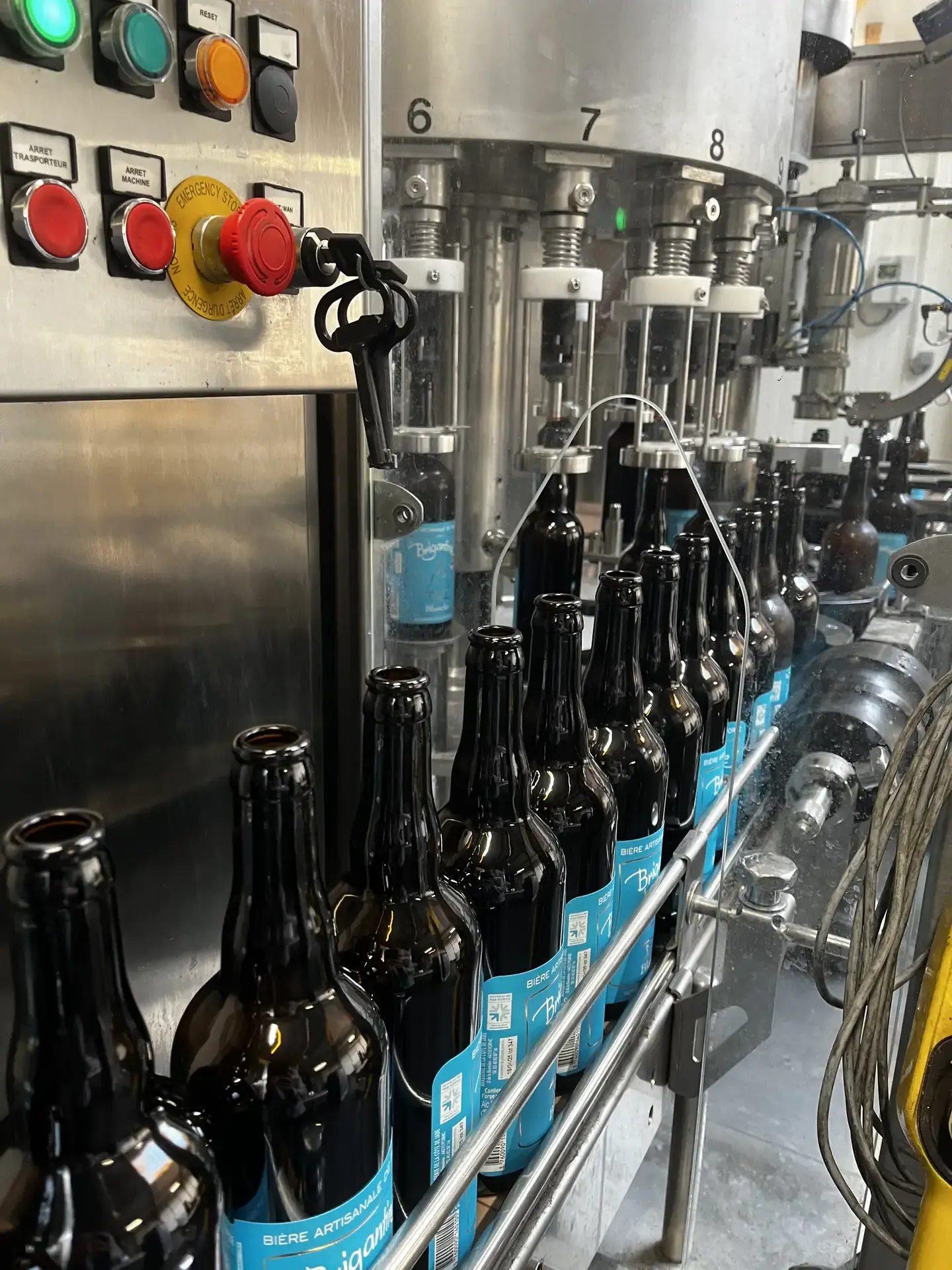Chaîne d'embouteillage automatisée de la brasserie Brigantine avec des bouteilles de bière Blanche étiquetées en attente de capsulage.